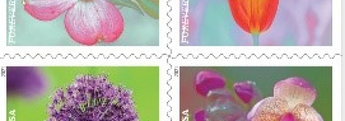 Garden Beauty Stamps for 2021