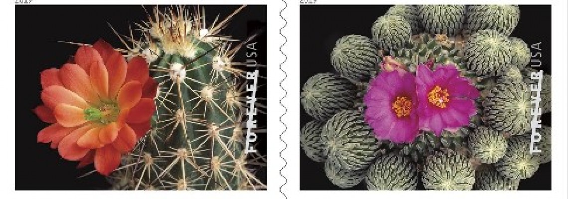 Forever Beautiful Cactus Flower Stamps from USPS