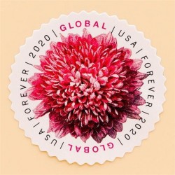 100 pcs -2020 US Global Chrysanthemum Forever Stamps