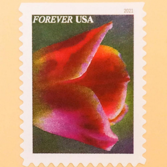 2021 U.S. Garden Beauty Forever Postage Stamps