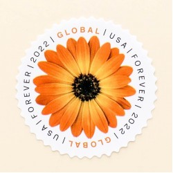 100 pcs -2022 US Global African Daisy Forever Stamps