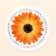 100 pcs -2022 US Global African Daisy Forever Stamps